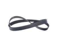 INA FB 6PK1070 Correa trapecial poli V para VW Polo V Hatchback (6R1, 6C1)