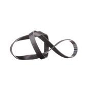 INA FB 6PK1195 Correa trapecial poli V para VW Jetta IV (162, 163, AV3, AV2)