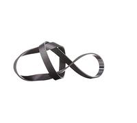 Ina FB 6PK1195 Correas de Distribución