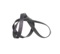INA FB 6PK1245 Correa trapecial poli V