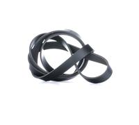 INA FB 6PK1873 Correa trapecial poli V