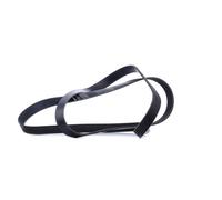 Ina FB 6PK2260 Correas de Distribución