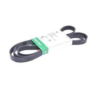 INA FB 7PK2843 Correa trapecial poli V