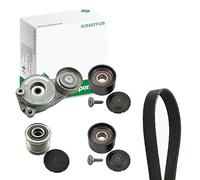 Kit de correa trapezoidal acanalada con polea de rueda libre 529 0050 20 INA