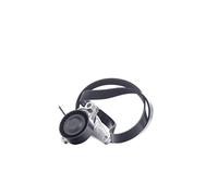 INA Juego de correas trapeciales poli V 529 0167 10 1025 mm