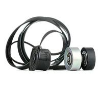 Kit de correa trapezoidal acanalada 529 0314 10 INA para BMW 7 3 Compact 3 5 X5