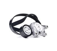 Juego de correas poly V INA 529 0335 10