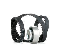 Kit de correa de distribución INA 530 0012 10