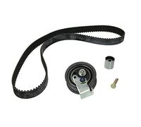 INA Kit de correa de distribución 530 0069 10 32,4mm