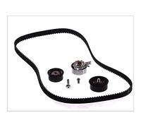 INA Kit de correa de distribución 530 0078 10 para Opel Corsa/Tigra/Vectra B
