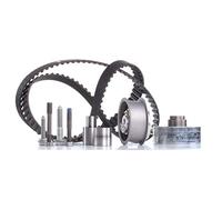 INA Kit de correa de distribución 530 0082 10 30mm