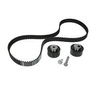 INA Kit de correa de distribución 530 0111 10 30mm Compatible con FIAT DUCATO Caja/Chasis 244 DUCATO Autobús 244, Z DUCATO Furgón 244 DUCATO Caja/Chasis 230 DUCATO Autobús 230 DUCATO Furgón 230L