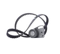 Kit de correa de distribución 530 0135 10 INA para FORD FORD OTOSAN