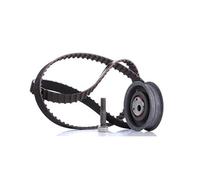 INA Kit de correa de distribución 530 0149 10 24mm Compatible con VW Transporter T4 Bus 70B, 70C, 7DB, 7DK, 70J, 70K, 7DC, 7DJ GOLF III 1H1 Transporter T4 Furgoneta 70A, 70H, 7DA, 7DH