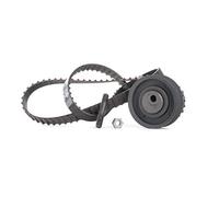 INA Kit de correa de distribución 530 0162 10 24mm