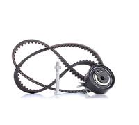 INA Kit de correa de distribución 530 0166 10 22mm Compatible con VW Lupo/Lupo 3L 6X1, 6E1 GOLF III 1H1 POLO 6N2 Polo III Hatchback 6N1 GOLF III Variant 1H5 Vento 1H2