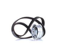 INA Kit de correa de distribución 530 0171 10 30mm Compatible con VW GOLF VI 5K1 Golf IV Hatchback 1J1 Golf V Hatchback 1K1 TOURAN 1T1, 1T2 Polo IV Hatchback 9N, 9A Passat B6 Variant 3C5