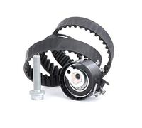 INA Kit de correa de distribución 530 0195 10 29mm Compatible con RENAULT Clio IV Grandtour KH Clio IV Hatchback BH Clio III Hatchback BR0/1, CR0/1 TWINGO II CN0 Clio III Grandtour KR0/1