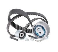 INA Kit de correa de distribución 530 0201 10 35,3mm