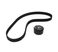 INA Kit de correa de distribución 530 0228 10 29mm Compatible con OPEL Combo D Furgoneta/Familiar X12 Combo D Tour X12, FIAT 500 312 PANDA 169 GRANDE PUNTO 199 PUNTO 199