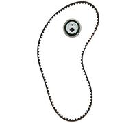 INA Kit de correa de distribución 530 0252 10 22mm Compatible con PEUGEOT 207 WA, WC 206 Fastback 2A/C 207 SW WK 106 II Hatchback 1A, 1C, CITROËN XSARA PICASSO N68