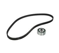 INA Kit de correa de distribución 530 0258 10 22mm Compatible con FIAT ULYSSE 220, PEUGEOT 406 8B Partner I Combispace 5, G 406 Break 8E/F 205 II 20A/C 306 Fastback 7A, 7C, N3, N5