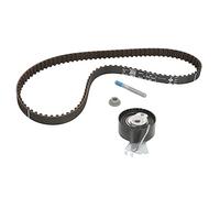 INA Kit de correa de distribución 530 0334 10 25mm Compatible con PEUGEOT 206 Fastback 2A/C 206+ Hatchback 2L, 2M 106 II Hatchback 1A, 1C 206 SW 2E/K Partner I Combispace 5, G 206 Furgoneta
