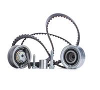 INA Kit de correa de distribución 530 0361 10 30mm Compatible con VW Golf IV Hatchback 1J1 Polo IV Hatchback 9N, 9A Fox Hatchback 5Z1, 5Z3, 5Z4 Golf IV Variant 1J5 Bora Sedán 1J2 Polo III Classic 6V2
