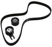 INA Kit de correa de distribución 530 0369 10 29mm Compatible con CITROËN C3 I Hatchback FC, FN, SUZUKI LIANA Fastback