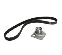 INA Kit de correa de distribución 530 0442 10 30,8mm Compatible con RENAULT MEGANE II Ranchera familiar KM0/1 SCÉNIC II JM0/1 MEGANE II Coupé-Cabriolet EM0/1 LAGUNA II BG0/1 GRAND SCÉNIC II JM0/1