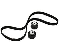 INA Kit de correa de distribución 530 0446 10 30mm Compatible con FIAT Ulysse 179, PEUGEOT 406 8B 406 Break 8E/F 607 9D, 9U 406 Coupé 8C 807 MPV EB