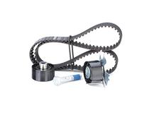 INA Kit de correa de distribución 530 0449 10 29mm