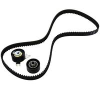 INA Kit de correa de distribución 530 0471 10 29mm Compatible con CITROËN C4 II Hatchback NC, PEUGEOT 308 SW I 4E, 4H 407 SW 6E, 6D