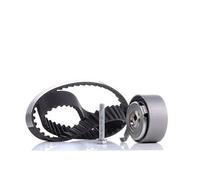 INA Kit de correa de distribución 530 0481 10 32mm Compatible con VW Touareg 7LA, 7L6, 7L7 Phaeton 3D1, 3D2, 3D3, 3D4, 3D6, 3D7, 3D8, 3D9, AUDI A4 B8 Avant 8K5 A6 C6 Avant 4F5 A4 B8 Sedán 8K2 Q7 4LB