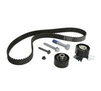 Kit de correa de distribución 530 0558 10 INA para CITROËN PEUGEOT FIAT FORD DS
