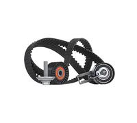Kit de correa de distribución 530 0577 10 INA para PEUGEOT FORD CITROËN DS