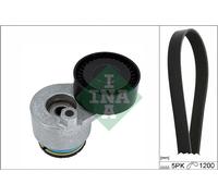INA Set Correa Poli V para Renault Scénic II JM0/1_ Megane KM0/1_ F/JP0 _