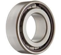 INA sl183005 cilíndrico rodamiento de rodillo, sola fila, extraíble anillo exterior, semi-fijas, FLANGED, normal Limpieza, extremo abierto, métricas, 25 mm ID, 47 mm OD, máximo 16 mm de ancho, 9000rpm velocidad de rotación, 7300lbf estática capacidad de carga, capacidad de carga dinámica 7100lbf
