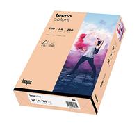 inapa Papel para impresora de colores, papel de colores tecno Colors: 160 g/m², A4, 250 hojas, salmón