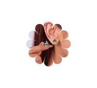 Inateannal Pendientes colgantes de rana con diseño de rana verde, con sombrero de Navidad, aretes de rana de animales pequeños, aretes de fiesta de Navidad, joyería para mujer, Zinc