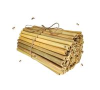 INature Bamboo Craft Tubes - 100 recuentos, 5" Eco-Friendly Sticks for DIY Bee Hotel, Solitary Bee Hives, and Pollinator Gardens