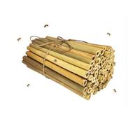INature Solitary Bee Bamboo Tubes - 100 unidades de largo de 4 pulgadas, perfecto para casas de abejas y kits de polinización de jardín