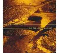 Incandescent Sky - Four Faradays in a Cage