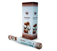 Incienso de coco de árbol verde