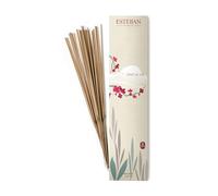Incienso Indio Espíritu de Té, Esteban