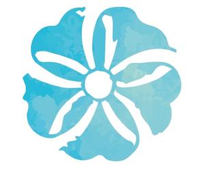 INCIENSO STICK ACCIMUT ACUARIO LOTO