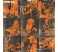 Inclination - Unaltered Perspective [Vinilo]