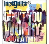 Incognito - Don'T You Worry 'Bout a Thing [Vinilo]