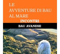 INCONTRI (LE AVVENTURE DI BAU AL MARE)
