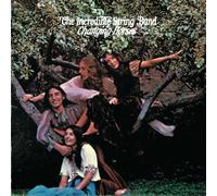 The Incredible String Band - Changing Horses